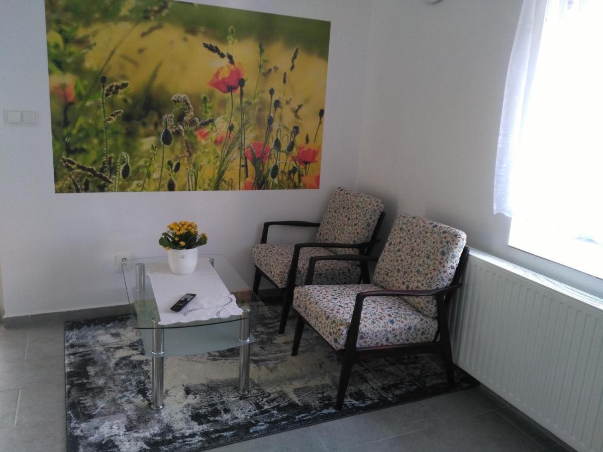 Apartman Gutino Ceska Trebova Exterior photo